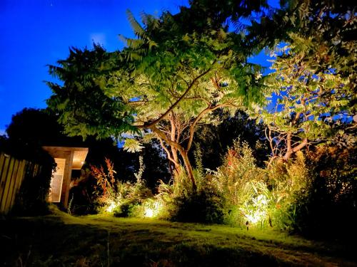 The Tree House Cumbria