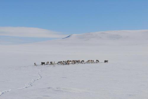 Kilpisjärven Tunturimajat