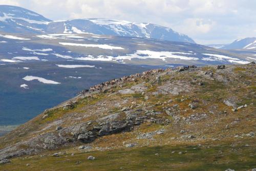 Kilpisjärven Tunturimajat