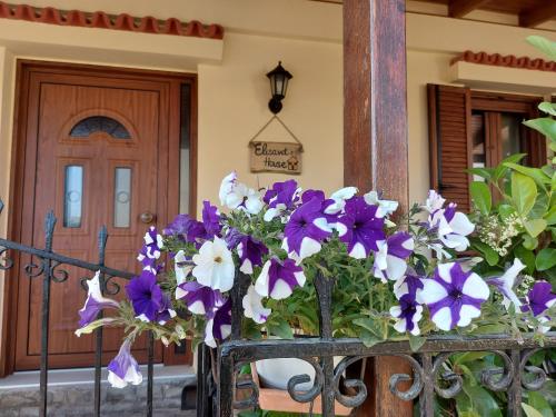 Elisavet's House 5