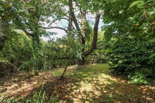 Manege Cottage - image 10