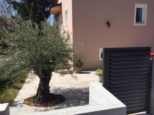 Middle Istra photo