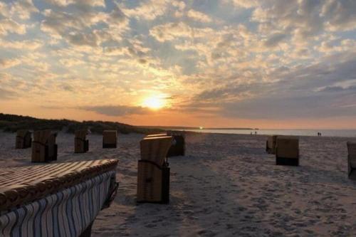 Apkārtne, Doppelhaushalfte, Zingst in Cingsta
