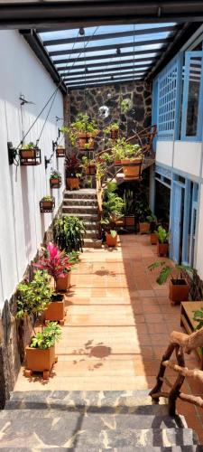 Two-Bedroom Apartment room in Apartahotel los Tucanes