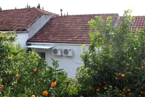 Apartments with WiFi Trsteno Dubrovnik - 4746 - image 6