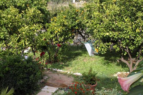 Apartments with WiFi Trsteno Dubrovnik - 4746 - image 7