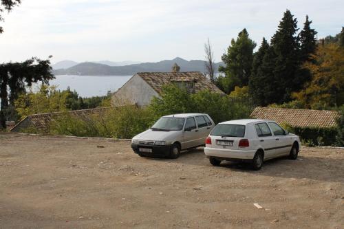 Apartments with WiFi Trsteno Dubrovnik - 4746 - image 10