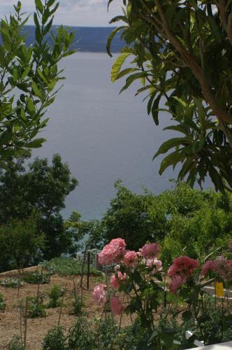 Apartments by the sea Pisak Omis - 2750 - image 6