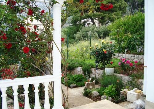 Apartments and rooms by the sea Zivogosce - Porat Makarska - 2733 - image 2