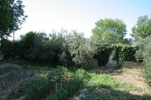 Skats, Studio Duce 2746b in Duce
