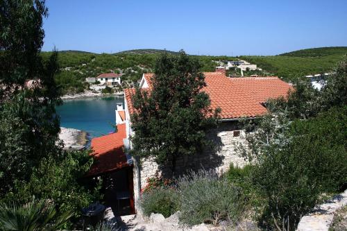  Apartments by the sea Cove Jagodna - Brusje, Hvar - 4619 in Brusje