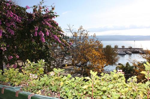 Studio with Terrace and Sea View image 8