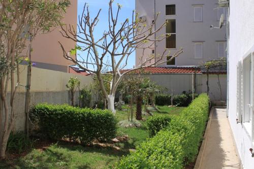 Studio Nemira 4652c - image 10