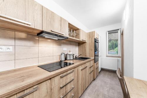 Jeseníky Apartmán číslo 5 (Jeseniky Apartman cislo 5) in Jindřichov (Olomouc)