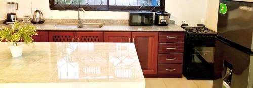 Two bedroom Apartment in Mikocheni photo