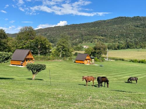 Agri Camp Dolomiti