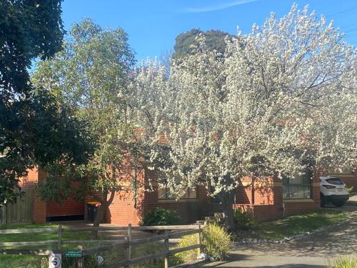 Mount Waverley Townhouses