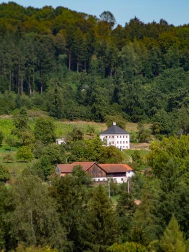 Trattnachtaler Weinhaus in Schlüßlberg, Österreich