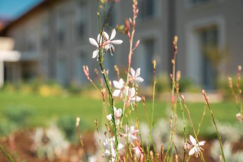 Agriturismo Maria Vittoria
