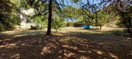 Maison sur 2000m² d'espace vert. gîte à louer Bassan