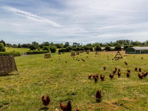 The Anchorage Nables Farm