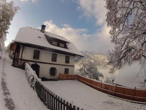 Lercherhof - Apartment - Feld am See