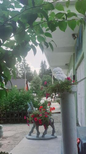 Guest House Ljiljana - main image