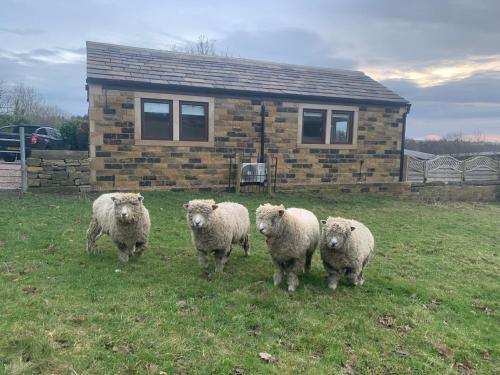 Brand new purpose built annex :- The Stables