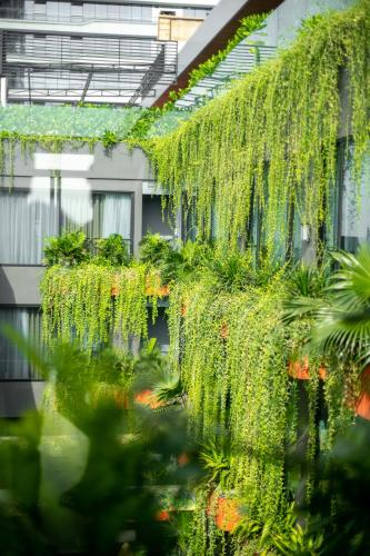 386982757 Chi House Danang Hotel and Apartment
