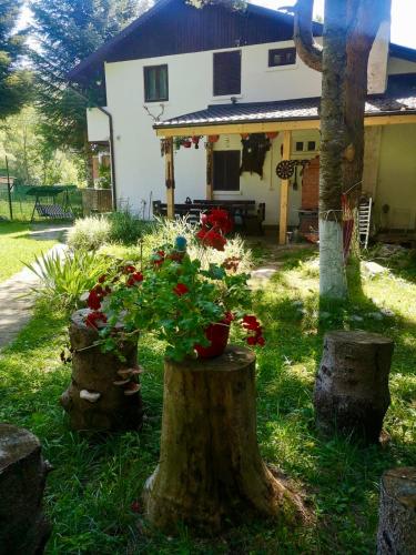 Cabana din Poveste Valea Doftanei