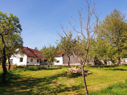 Die Alm in Schöllbüchl, Privatzimmer in St. Martin, Österreich