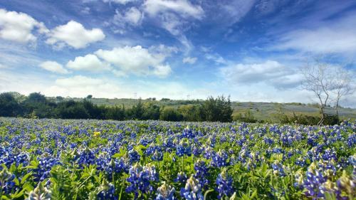 387001560 Blue Hills Ranch