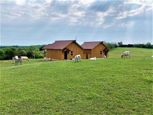 387001576 Blue Hills Ranch