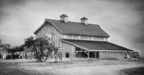 Blue Hills Ranch