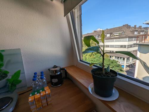 Schönes 2 Zimmer Appartment in der Altstadt von Koblenz in Koblenz, Deutschland