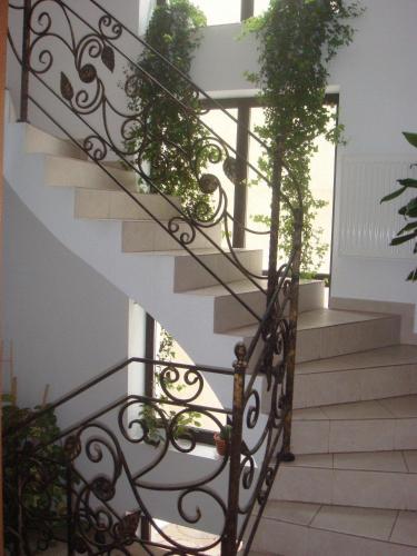 Villa Edera Residence - Gazda Profesionista - image 3