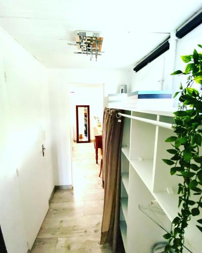 MAGNOLIA HOME 32 in Auch