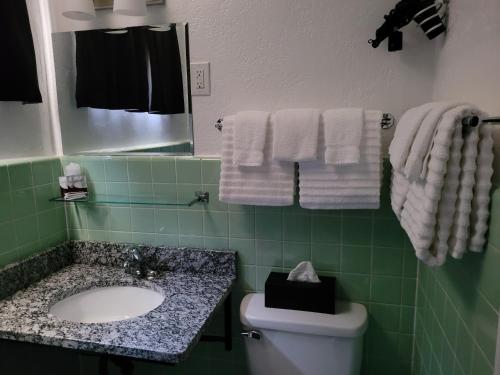 Bathroom, Rocket Motel in Custer (SD)