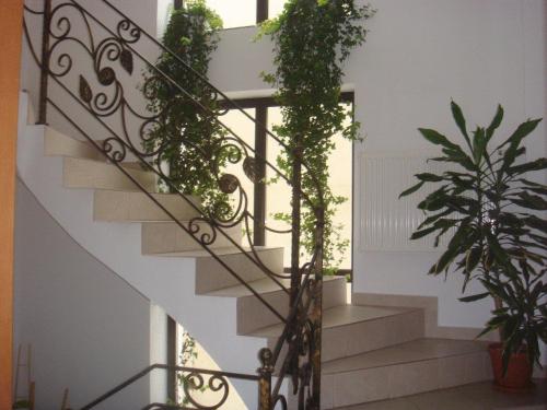 Villa Edera Residence - Gazda Profesionista - image 9