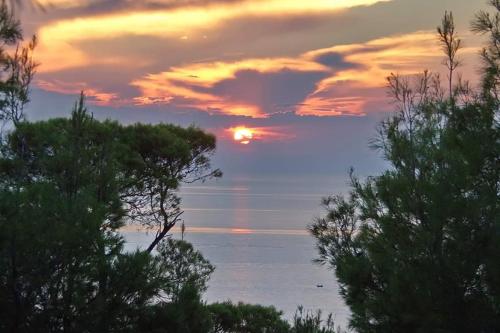 Poseidi - Villa Olivia, Possidi (foto 7)