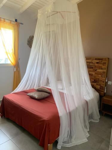 Chez BIBI, Grand-Bourg (photo 10)
