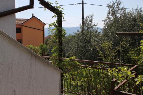 Apartment Pinezici 5319b - image 11