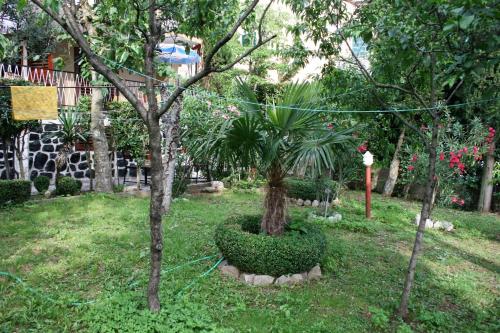 Apartment Selce 5531b - image 4