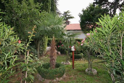 Apartment Selce 5531b - image 3