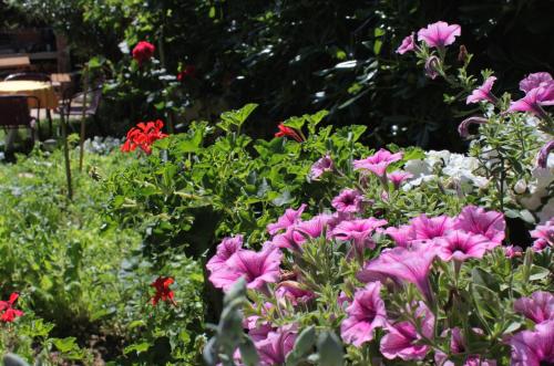 Apartment Baska 5443b - image 2