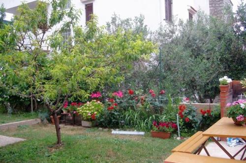 Apartment Baska 5443b - image 11