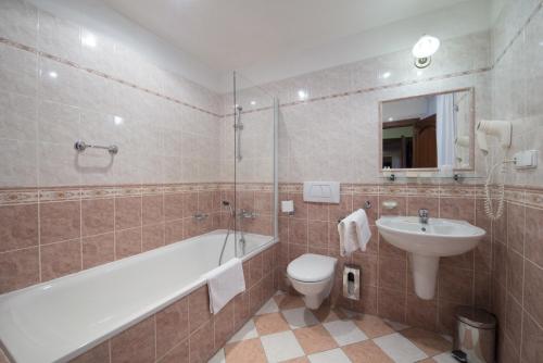 Hotel Cerny Slon - image 3
