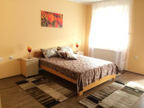 B&B Zmajevo Gnezdo 021 - Accommodation - Sremska Kamenica