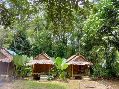 Khai Jungle Experience Camp & Tour in Near Center