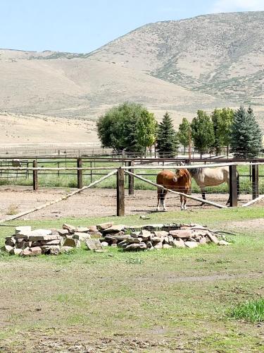 The Ranch House at Deer Creek